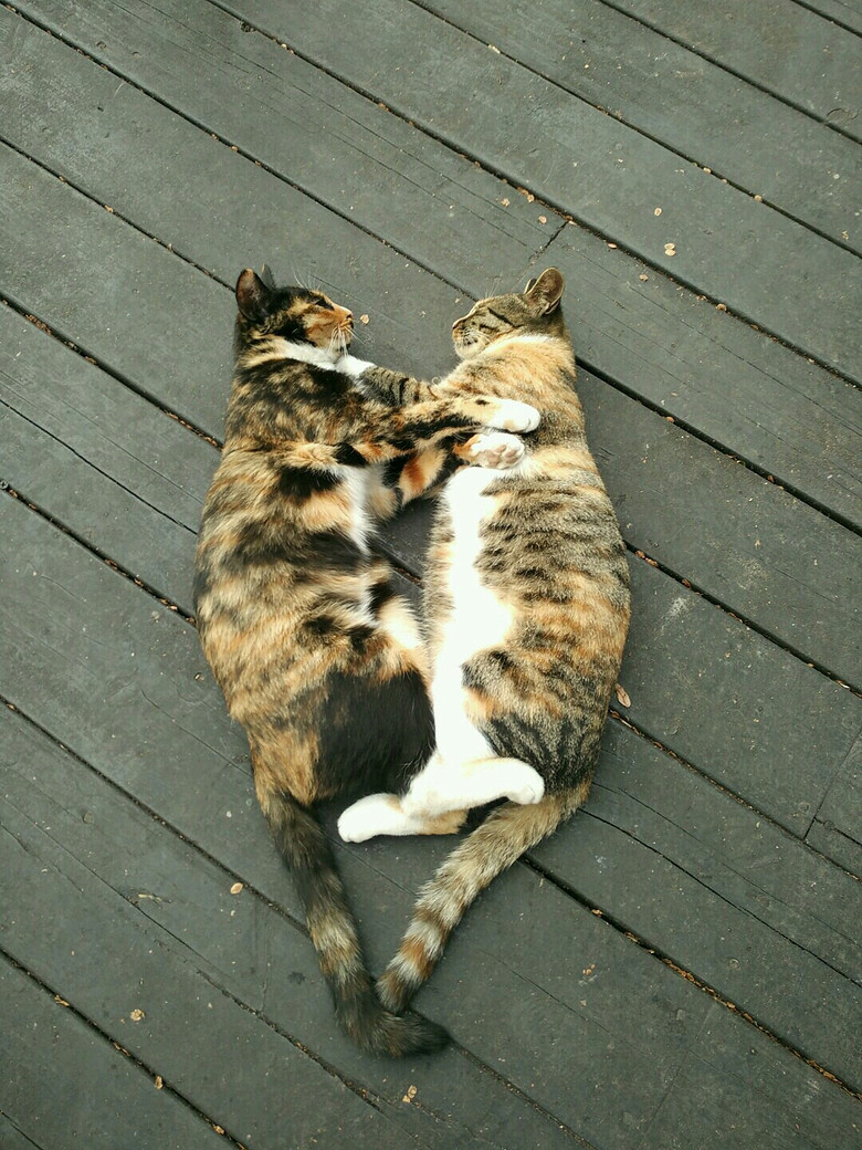 ����¥�����������