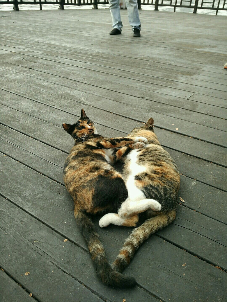 ����¥�����������