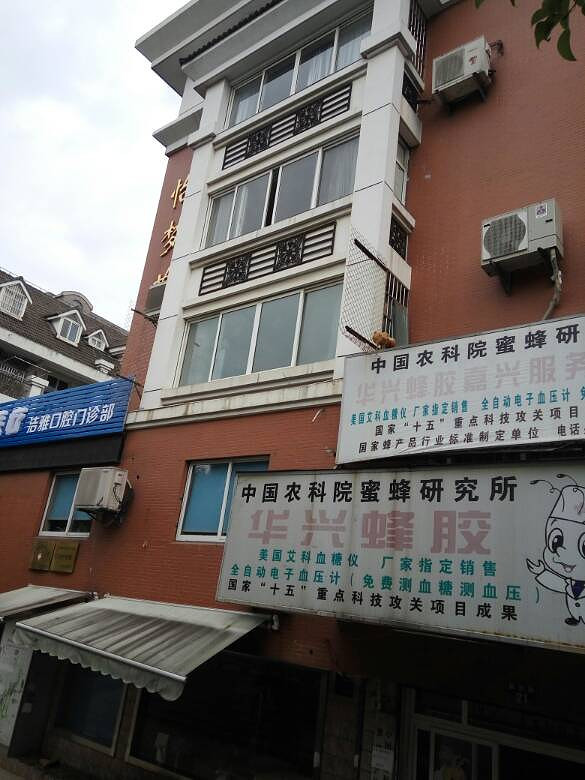 �ǳ��ﻹ�ǡ��ɻ���