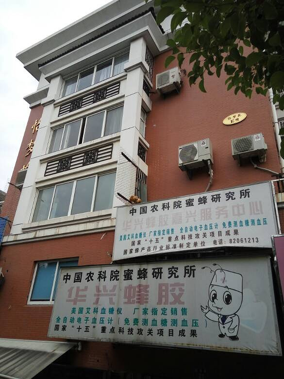 �ǳ��ﻹ�ǡ��ɻ���