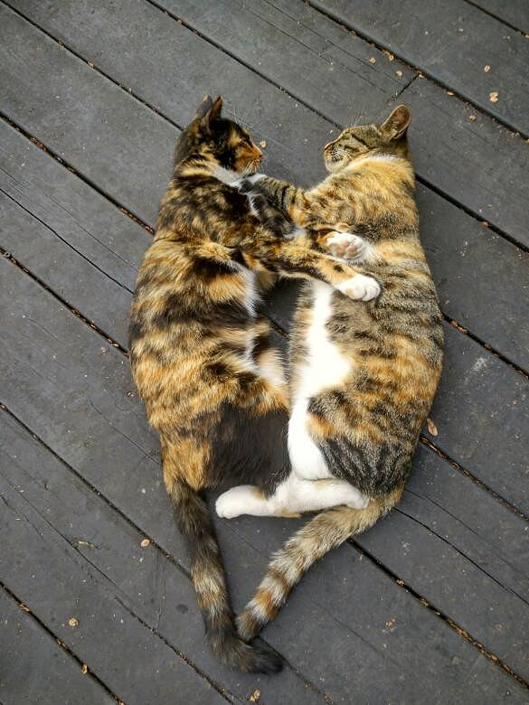 ����¥�����������