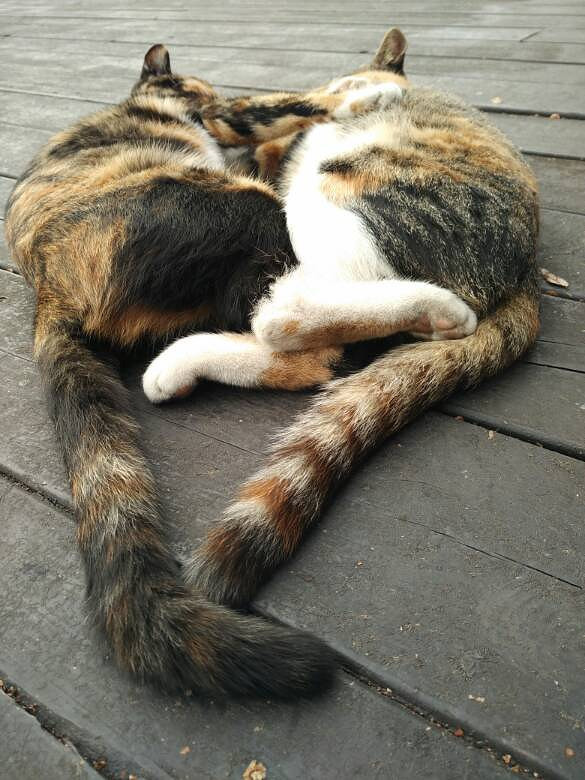 ����¥�����������