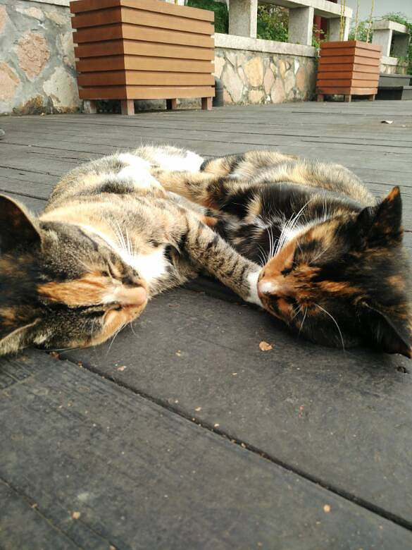 ����¥�����������