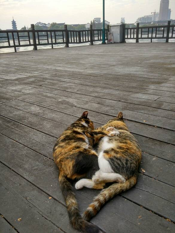 ����¥�����������