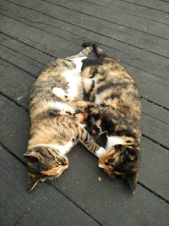 ����¥�����������