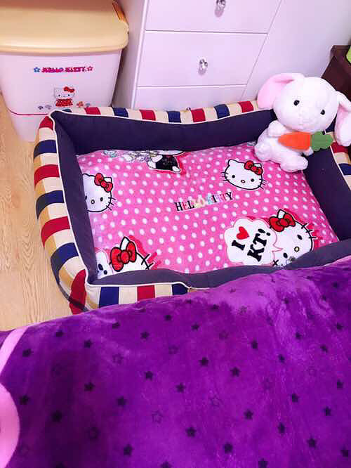 �۷۵ģ��ÿ���