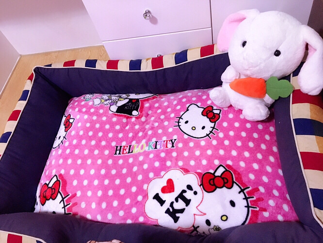 �۷۵ģ��ÿ���