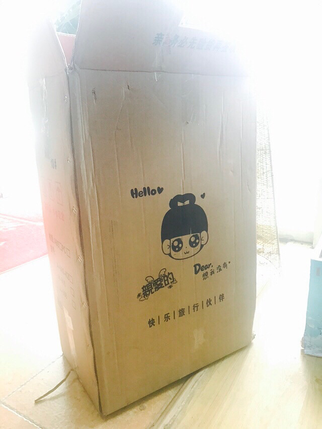 ˫ʮһ��ݵ���