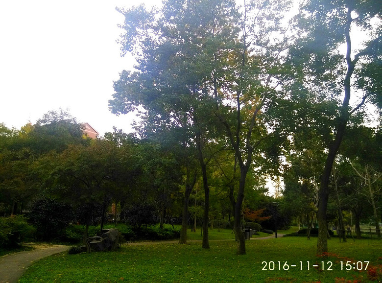 ����·����