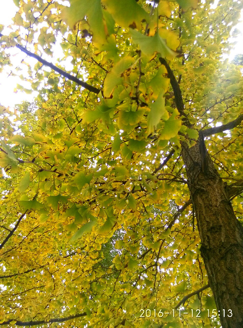 ����·����