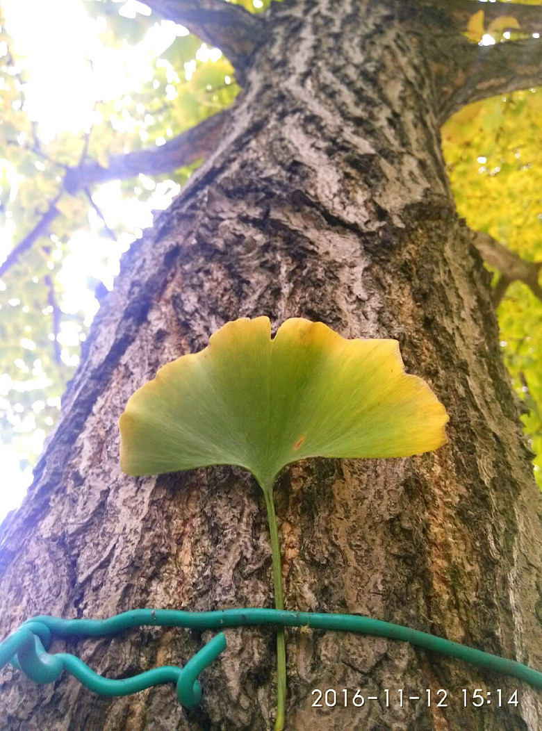 ����·����