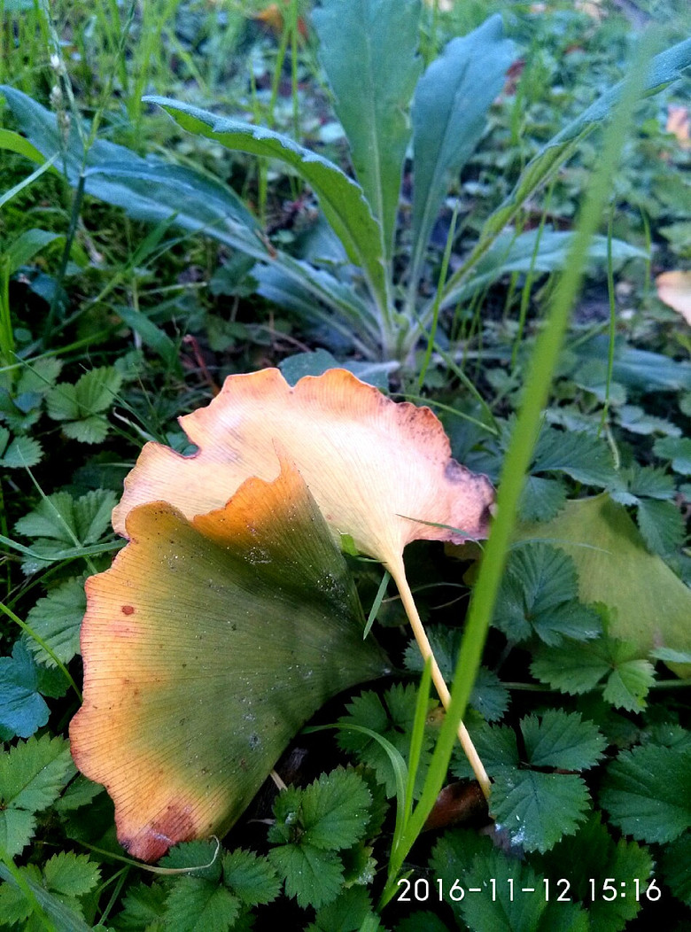 ����·����