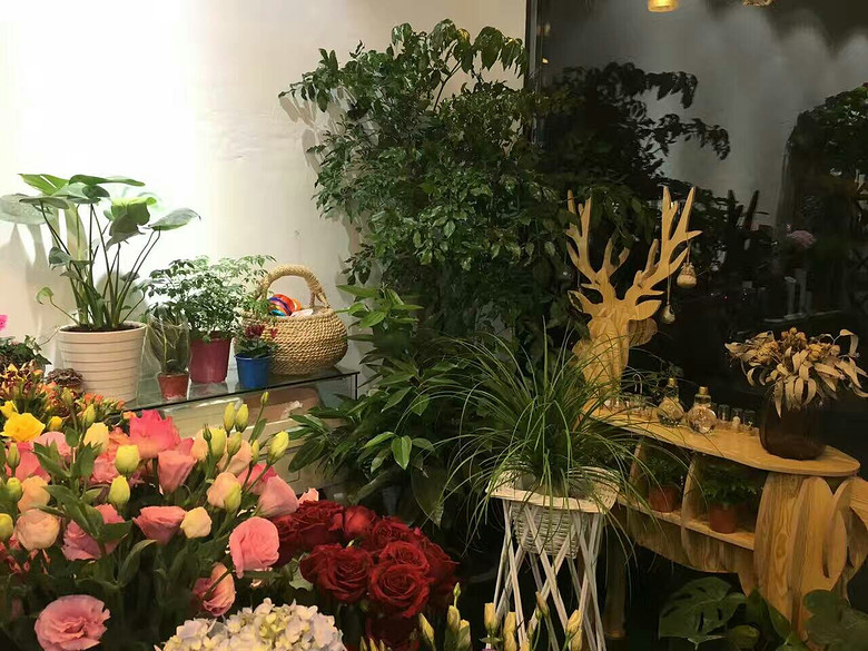 �л��в��г���