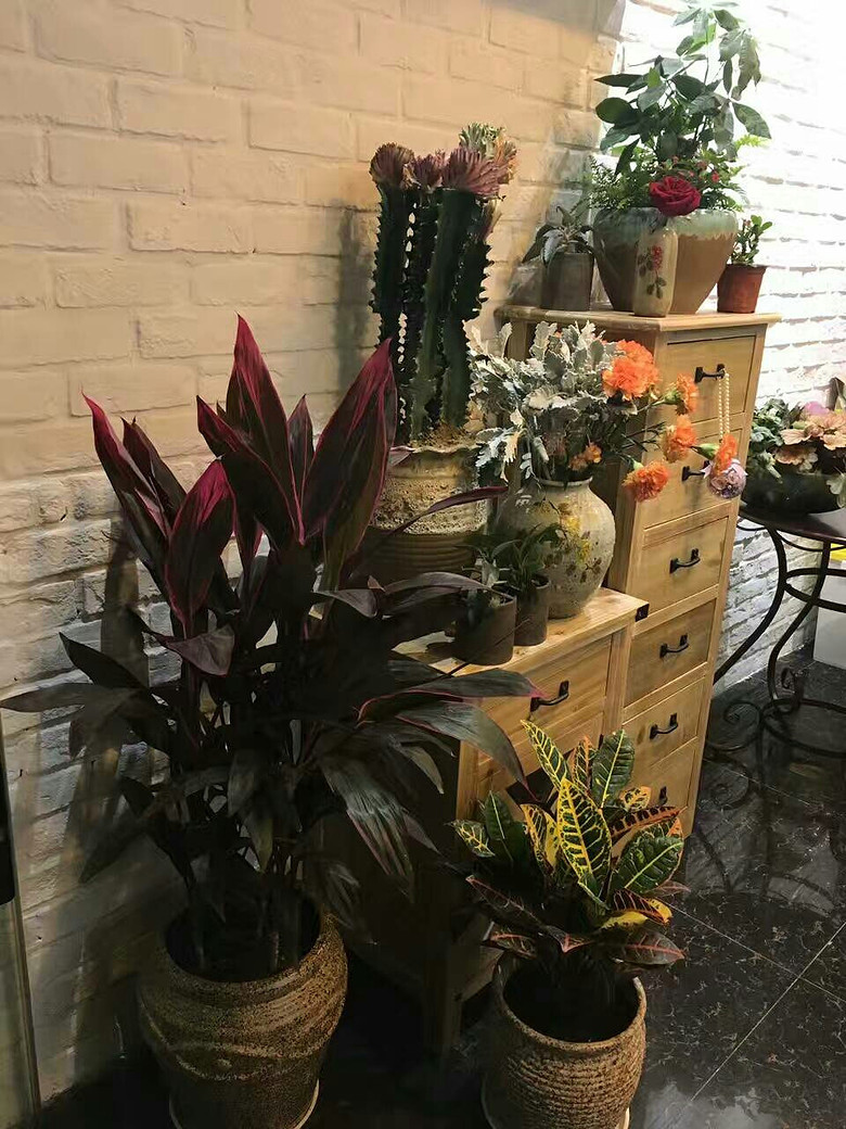 �л��в��г���