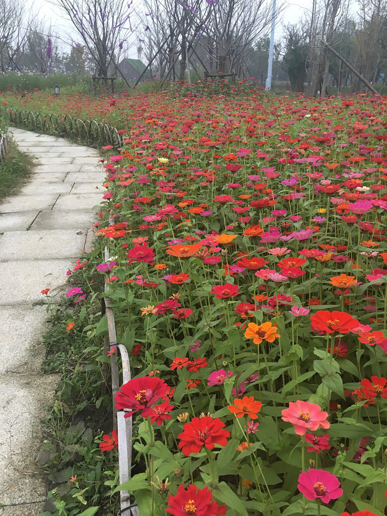 ����С�黨��