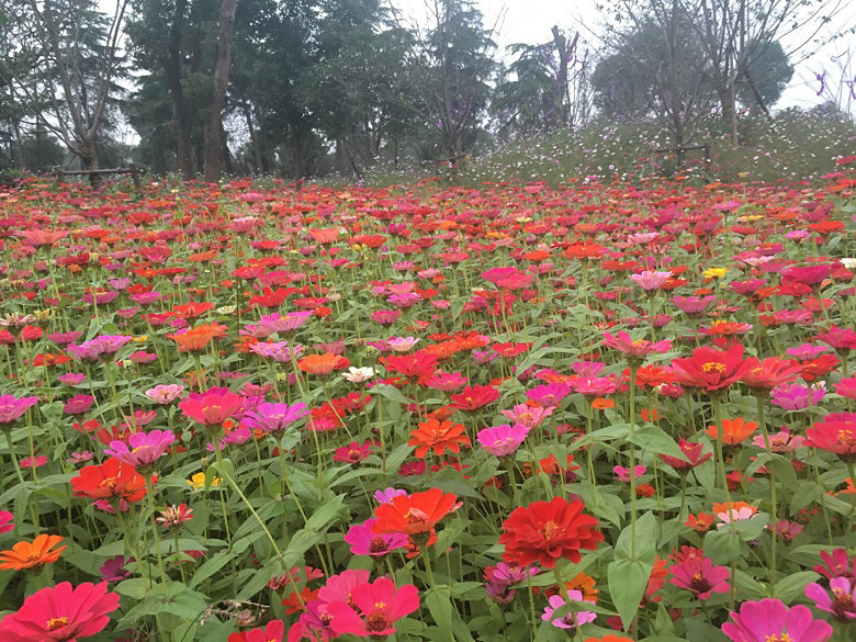 ����С�黨��