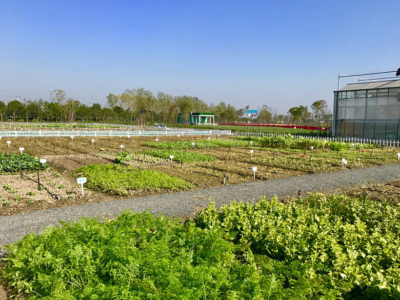 ��������������