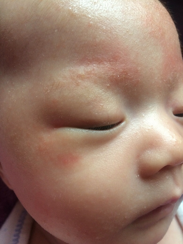 ����ʪ����