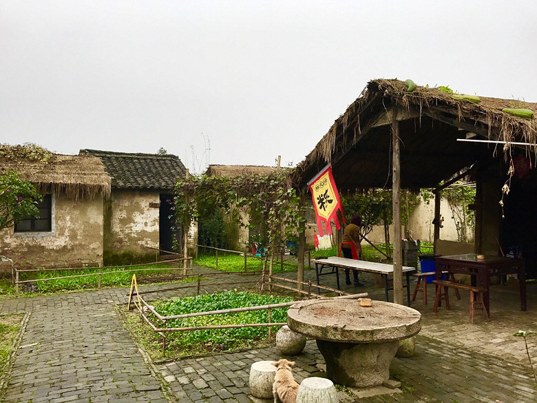 ����÷����