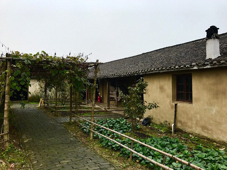 ����÷����