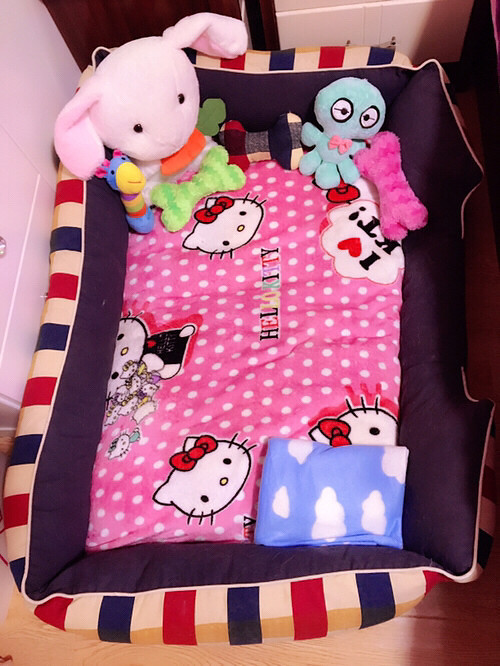 �糿����������ɫС���ӣ���ȴ��Ҫ��������