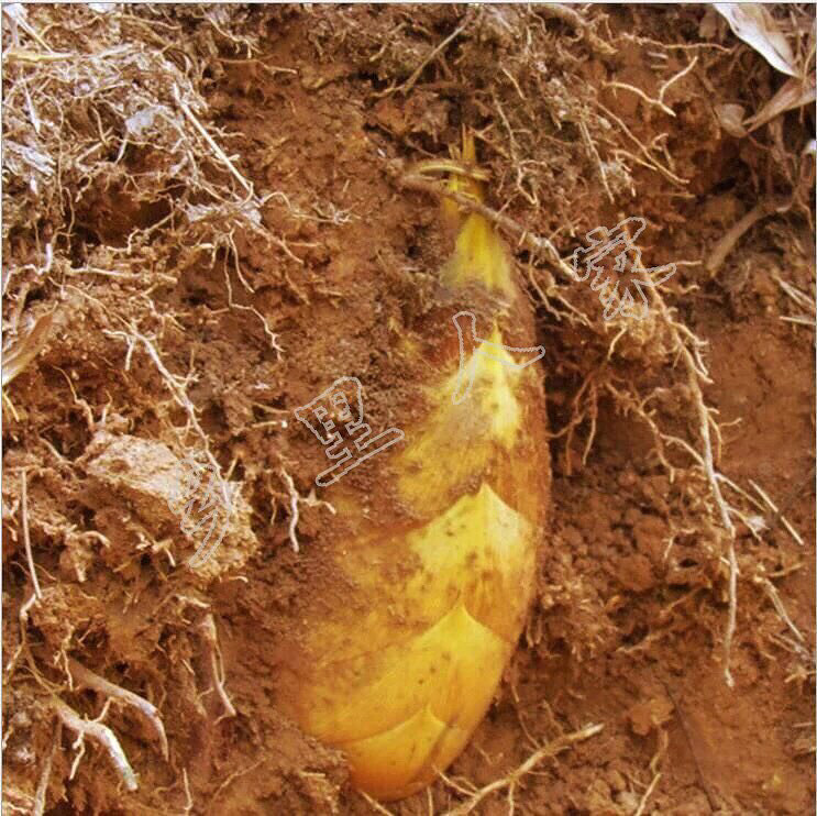 �ԼҵĶ���������������֤���ʣ�����Ҫ��