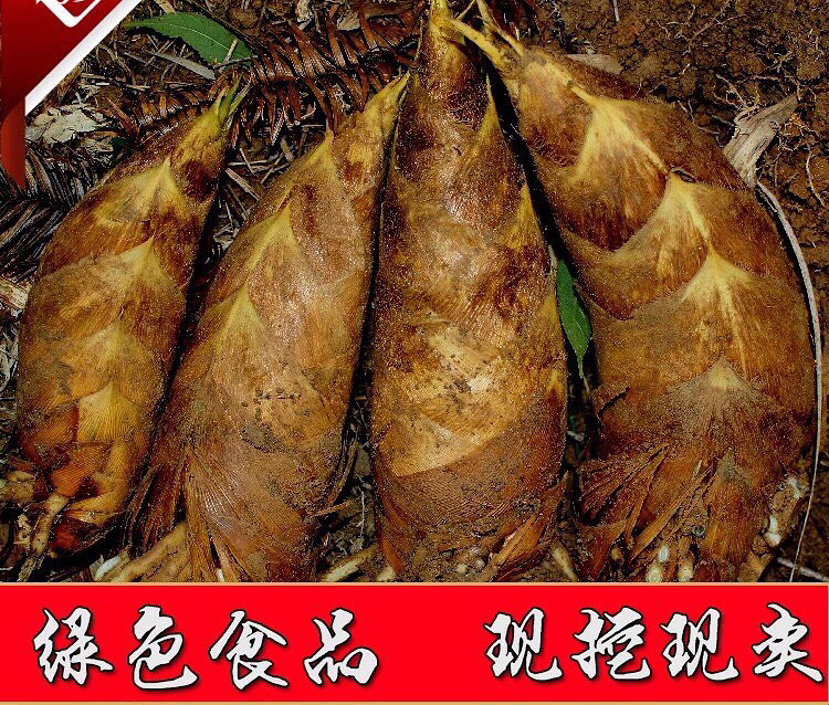 �ԼҵĶ���������������֤���ʣ�����Ҫ��