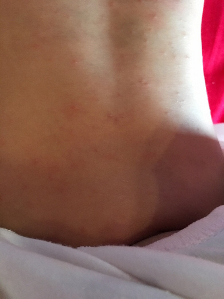 �����ĸ����£����ϳ��˺ܶ�С����