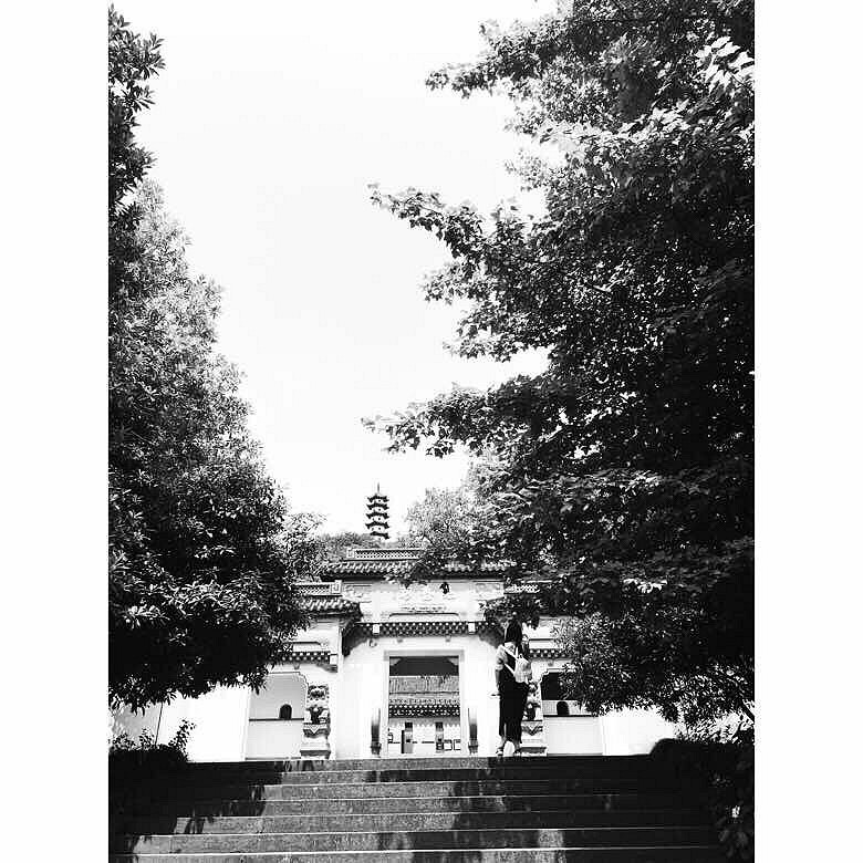 �����Ĵ�����