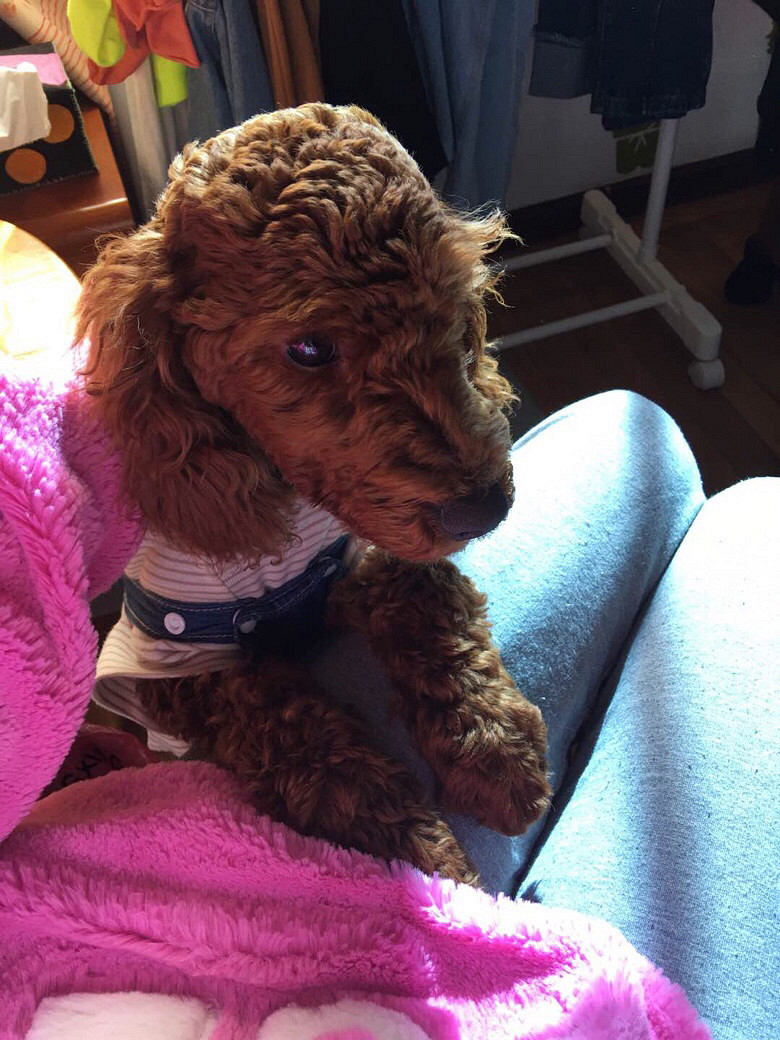 �����Ĵ�����������˹-�ɿ�������ݸ���Ŷ��