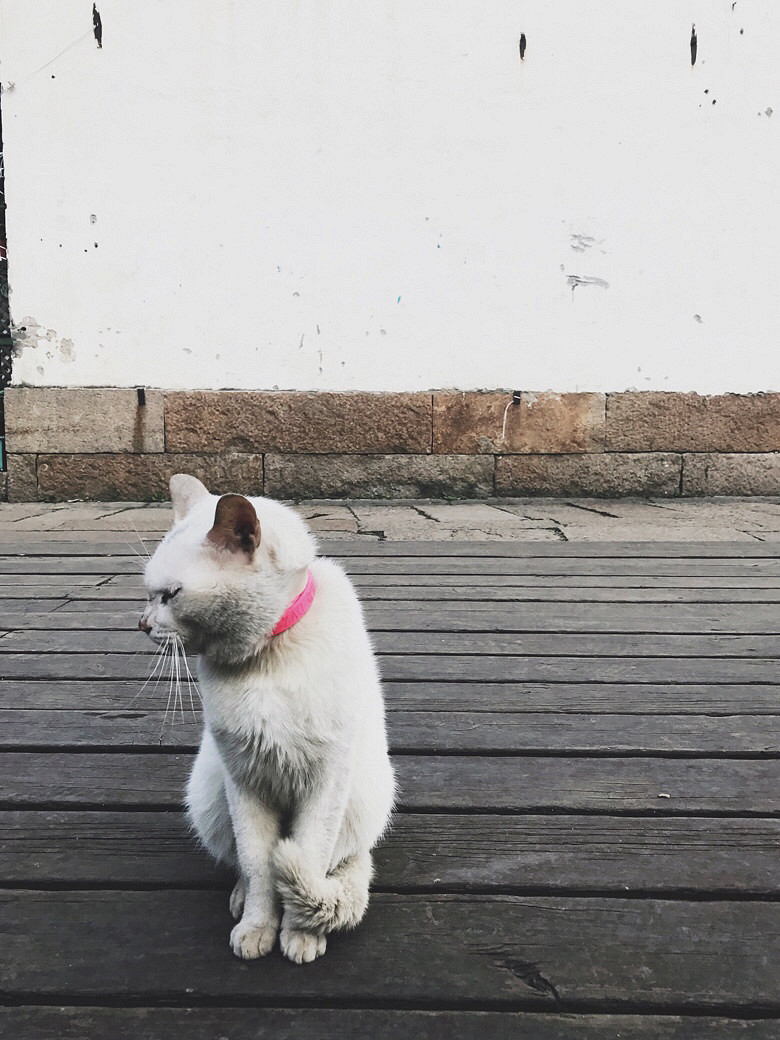 �����������ˡ�