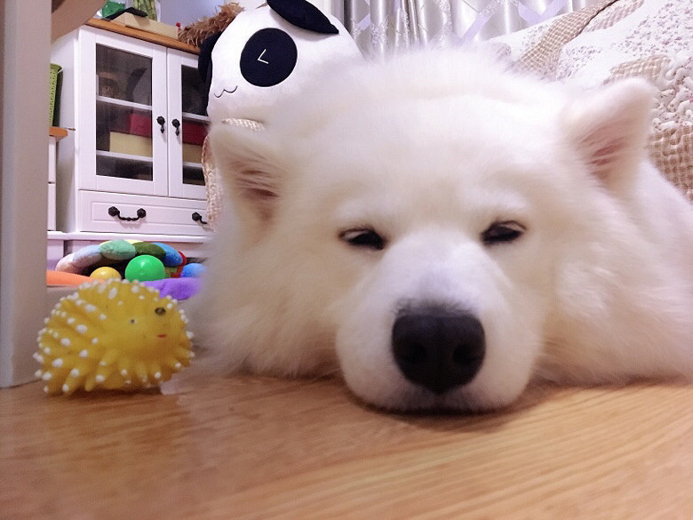 ��������һ��