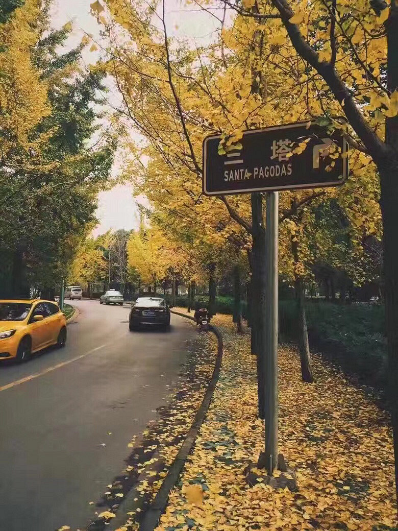 ɹ���ģ���������