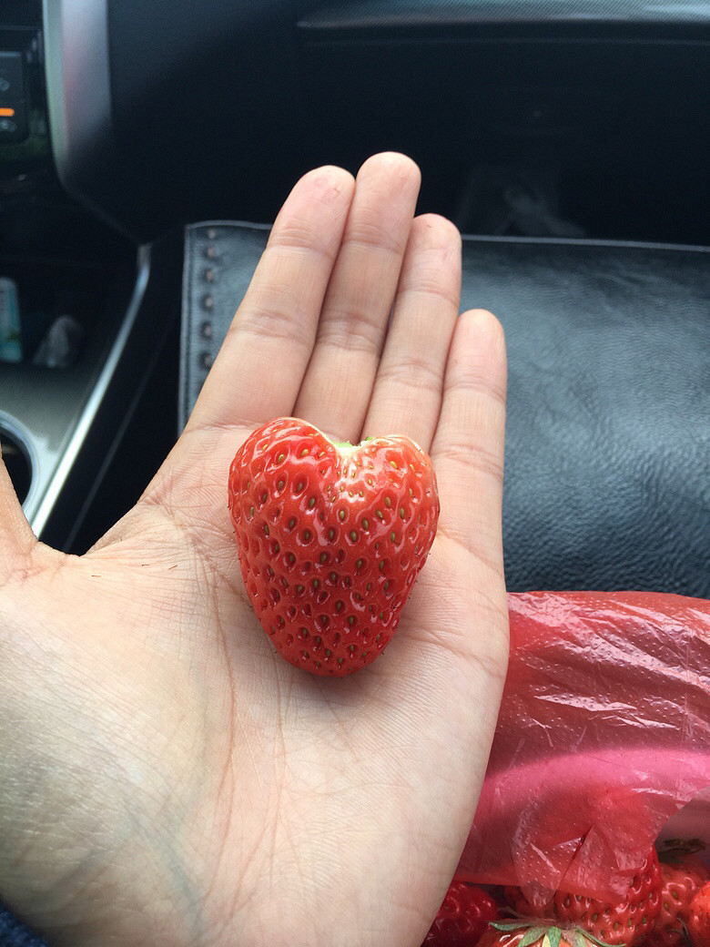 �����Ĵ������Ұ�19¥