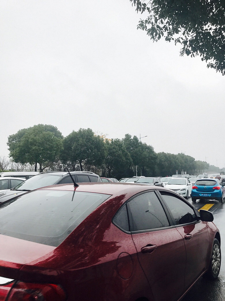 ������·ʲôʱ��ͷ���¶¶£���������