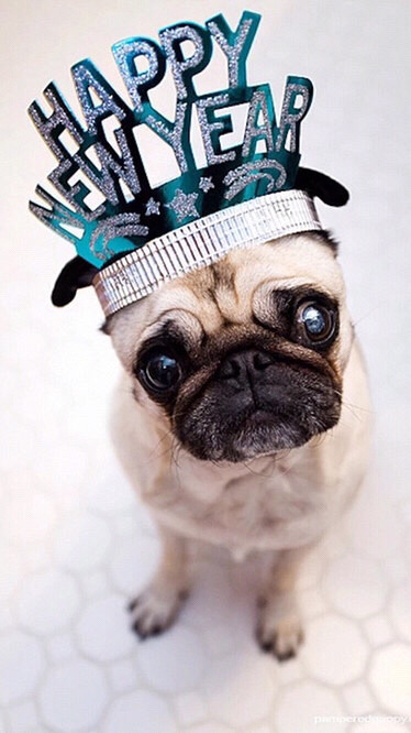 ��������ѽ��Ҫ������Ҫ������Ҫ�����˰���