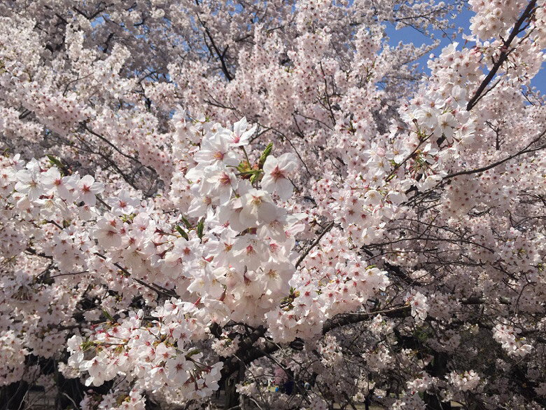 ��һ���⣬�ո�����