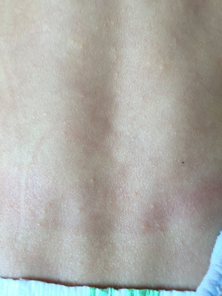 Ӥ������һ����