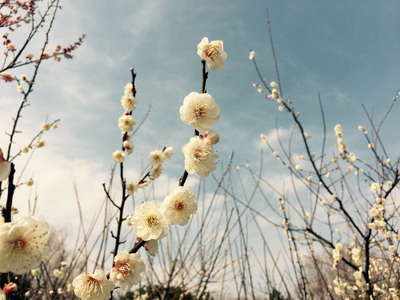 �������£�ֲ��԰��䣡