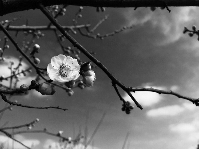 �������£�ֲ��԰��䣡