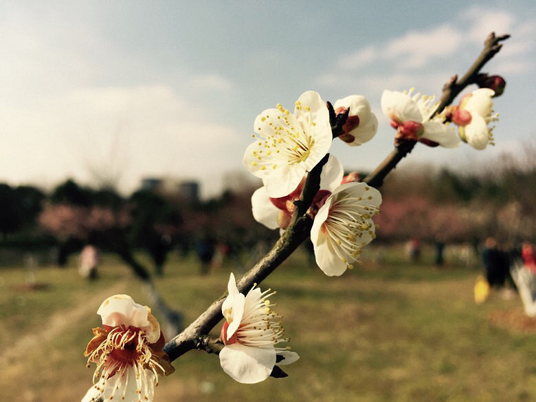 �������£�ֲ��԰��䣡