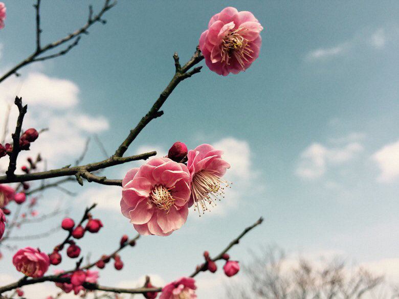 �������£�ֲ��԰��䣡