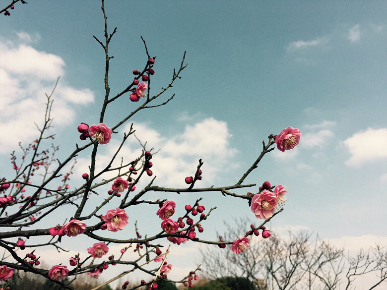 �������£�ֲ��԰��䣡