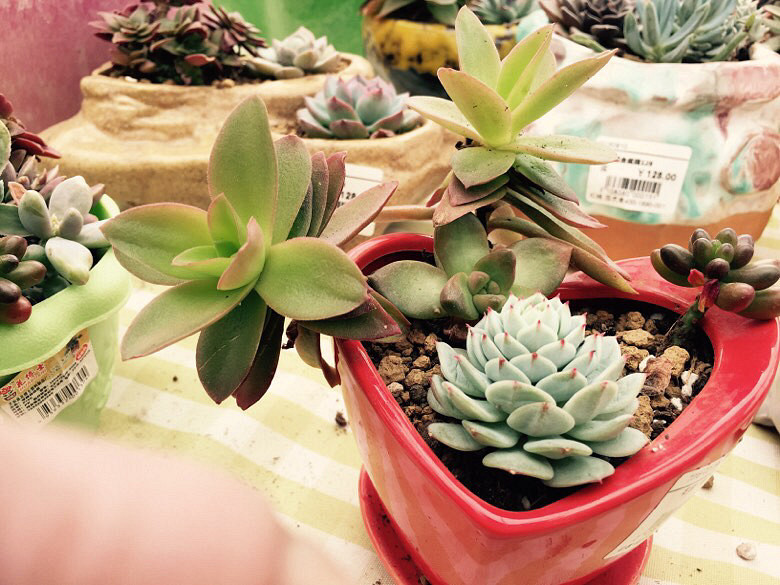 ��������