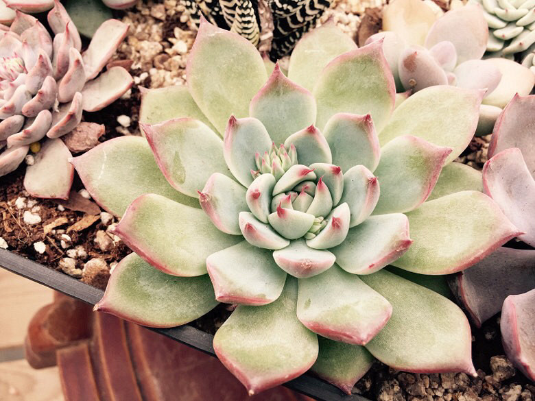 ��������