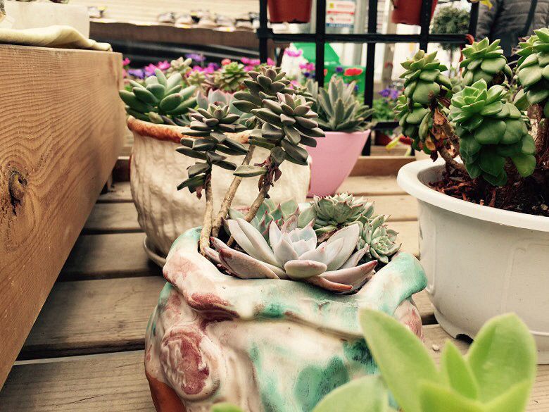 ��������