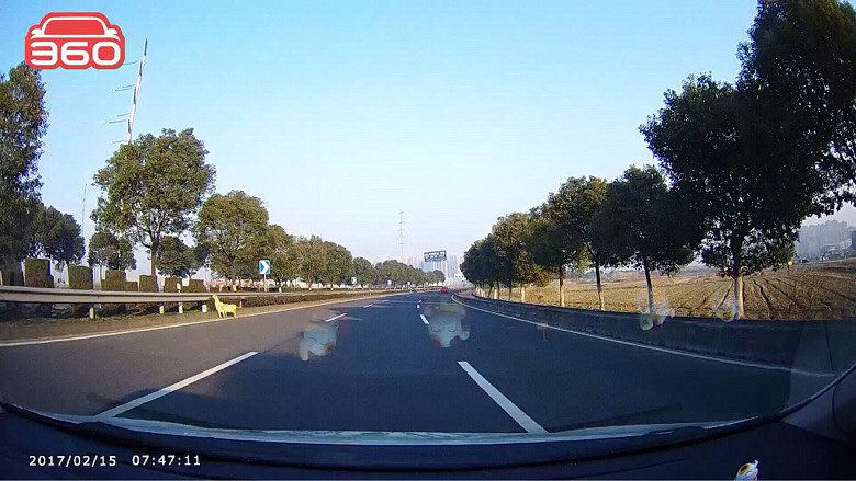 ���Ƕ�����07ʡ�������2ֻ��