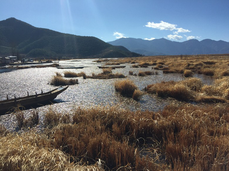 ����ɫ�����꣬�����ڵ���