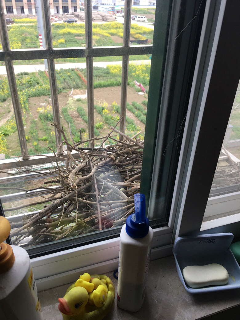 ϲȵ�ڷ������ϴ������ѣ�����ʱ����ֻϲȵ