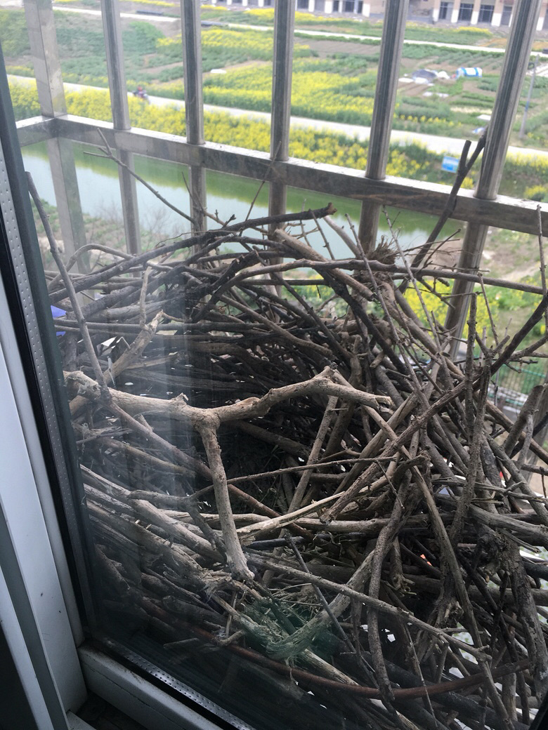 ϲȵ�ڷ������ϴ������ѣ�����ʱ����ֻϲȵ